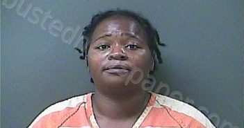HILL, NICHOLE | 2025-11-05 10:07:00 Laporte County, Indiana, La Porte County, Indiana Booking