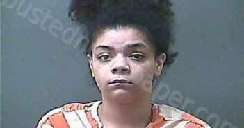 SMITH, ALIEGHA LYNN | 2025-11-05 14:44:00 Laporte County, Indiana, La Porte County, Indiana Booking