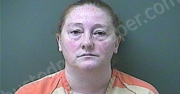 DUNLAP, MELISSA J | 2025-11-06 17:04:00 Laporte County, Indiana, La Porte County, Indiana Booking