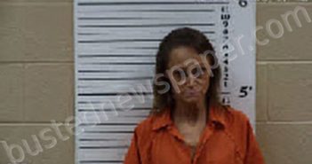 GATES, CHRISTIE MAE | 2025-11-06 15:03:00 Cherokee County, North Carolina Booking