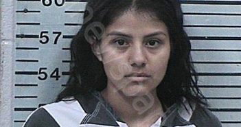 RODRIGUEZ, ANGELINA MICHELLE | 2025-11-06 23:20:44 Hood County, Texas Booking