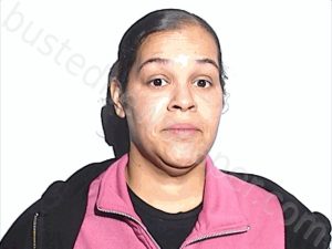 Sims, Melissa Lynn | 2025-11-06 10:15:00 Lucas County, Ohio Booking