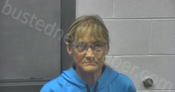 GUMM, BRENDA FAYE | 2025-11-06 12:13:00 Meade County, Kentucky Booking
