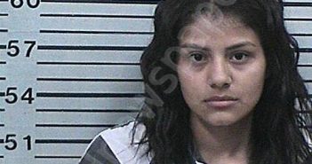 RODRIQUEZ, ANGELINA MICHELLE | 2025-11-06 23:20:44 Hood County, Texas Booking