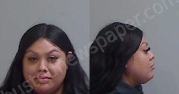 GARZA, CRYSTAL | 2025-11-06 Hidalgo County, Texas Booking