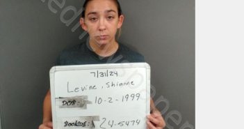 <B>LEVINE</B>, <B>SHIANNE</B> <B>ROSE</B> #, Sebastian County, Arkansas - 2025-11-07 18:49:00