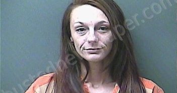 LUBINIECKI, MEGAN A | 2025-11-07 04:32:00 Laporte County, Indiana, La Porte County, Indiana Booking