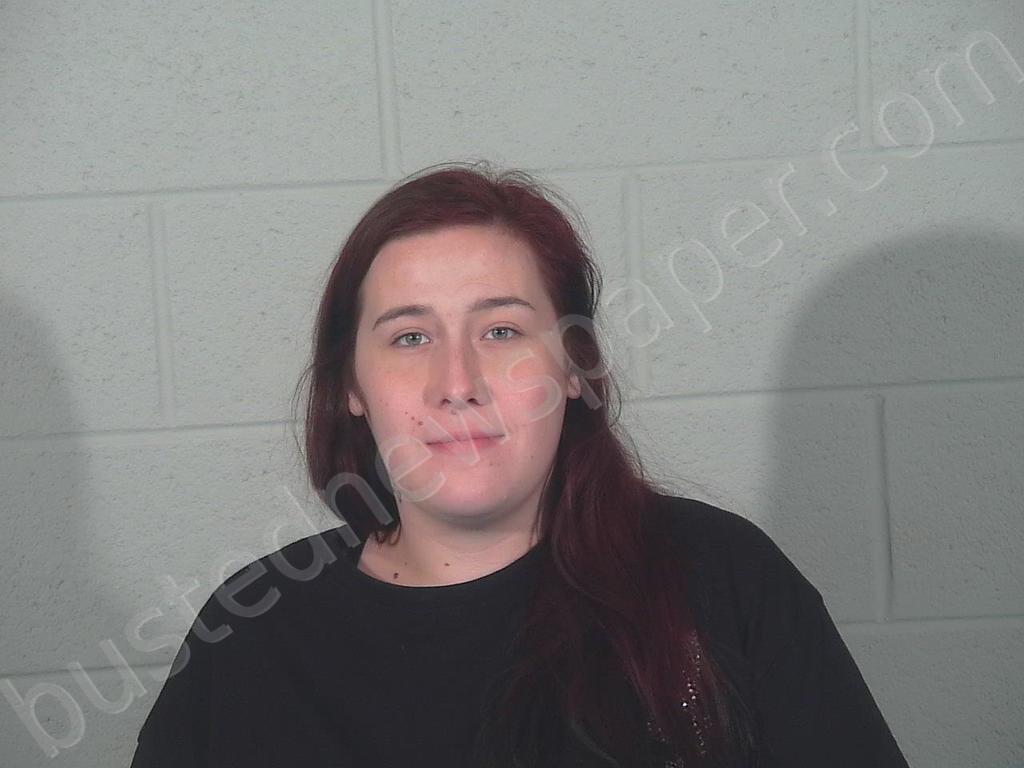 BROWN, SHAYNA NICOLE JUNE #, Steuben County, Indiana - 2025-11-07 20:04:55