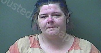 LYNCH, NICOLE | 2025-11-07 01:33:00 Laporte County, Indiana, La Porte County, Indiana Booking