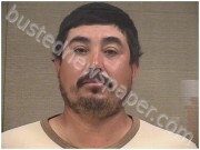 MEJIA RESENDIZ, LIBORIO | 2025-11-08 Harnett County, North Carolina Booking