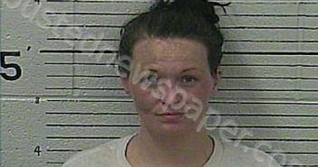 GRAY, ALISON F | 2025-11-08 17:20:00 Knox County, Kentucky Booking