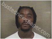 SURLES, BRANDON | 2025-11-08 Harnett County, North Carolina Booking