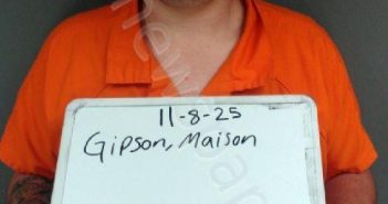 GIPSON, MAISON STORM | 2025-11-08 14:02:00 Sebastian County, Arkansas Booking