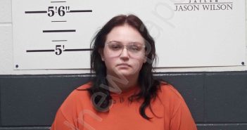 REID, MICHAEL ANNE | 2025-11-08 Whitley County, Kentucky Booking