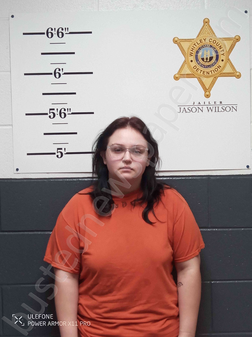 REID, MICHAEL ANNE #, Whitley County, Kentucky - 2025-11-08