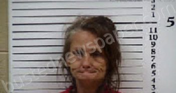 CARROLL, LISA MICHELLE | 2025-11-09 20:50:00 Cherokee County, North Carolina Booking
