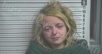 SPARKS, AUBREE SIDELL | 2025-11-09 22:39:00 Boyle County, Kentucky Booking