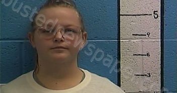 VINCENT, GILLIAN | 2025-11-09 11:43:00 Rockcastle County, Kentucky Booking