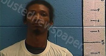 YOUNG, DAVION | 2025-11-09 13:48:00 Rockcastle County, Kentucky Booking