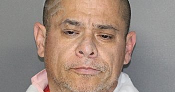 CASTILLO, ROLAND | 2025-11-10 21:38:35 Ellis County, Texas Booking