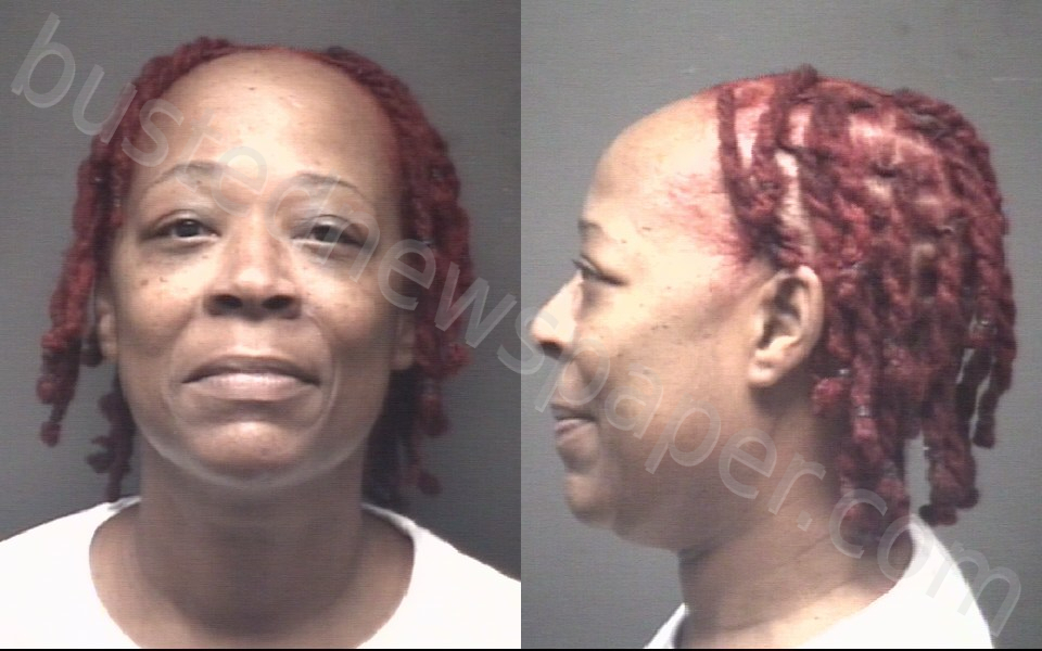 WILLIAMSON, TARA YVONNE #, Pitt County, North Carolina - 2025-11-10