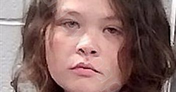 MATHEWS, SAMANTHA | 2025-11-10 17:57:00 Franklin County, Arkansas Booking