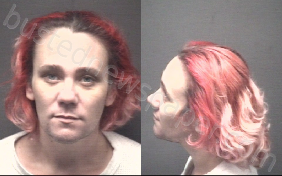 LITTLE, SAMANTHA HAYLIE #, Pitt County, North Carolina - 2025-11-11