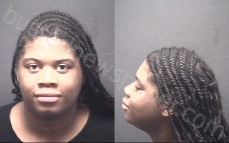 MCCALL, MI ASIA MICHELLE #, Pitt County, North Carolina - 2025-11-11