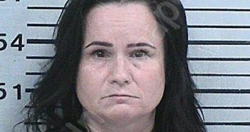 FORD, AMY ELIZABETH | 2025-11-11 20:34:51 Hood County, Texas Booking