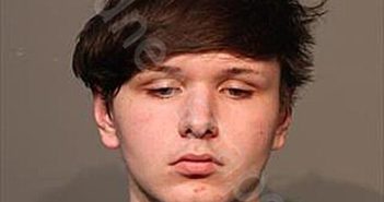 <B>FLEMING</B>, <B>GAGE</B> <B>AARON</B> #, Polk County, Iowa - 2025-11-11 01:14:31