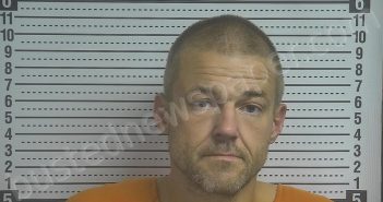 WELLS, ERIN RAY | 2025-11-11 14:42:00 Boyle County, Kentucky Booking