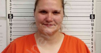 RUSSELL, MITSY | 2025-11-12 Wayne County, Kentucky Booking