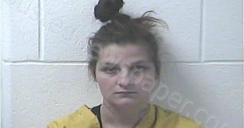 LEACH, LINDA MARIE | 2025-11-12 19:10:00 Daviess County, Kentucky Booking