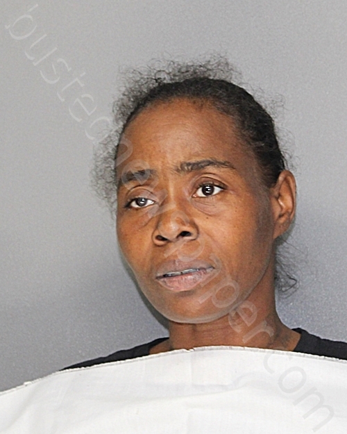 WEST, LATASHA WAISHIA #, Ellis County, Texas - 2025-11-12 22:16:00