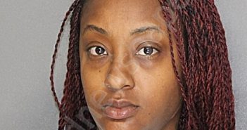 MADDOX, ASHLEY GABRIELLE | 2025-11-12 16:52:55 Ellis County, Texas Booking