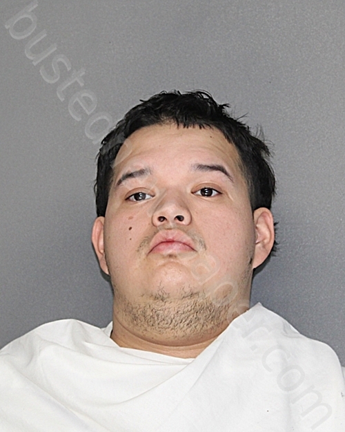 SANCHEZ, JOSE ANGEL #, Ellis County, Texas - 2025-11-12 15:25:36