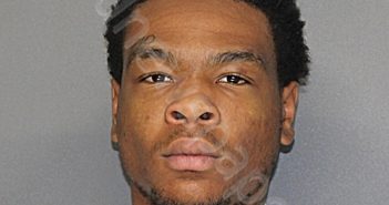 WILLIS, DOMINIQUE LAVAR | 2025-11-12 15:02:57 Ellis County, Texas Booking