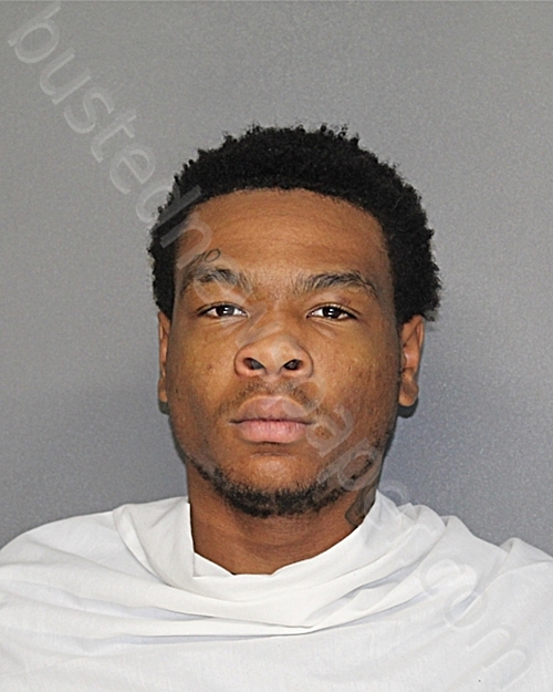 WILLIS, DOMINIQUE LAVAR #, Ellis County, Texas - 2025-11-12 15:02:57