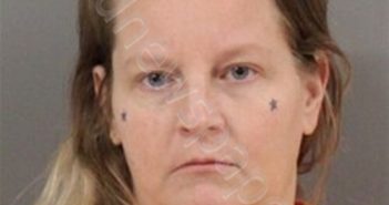 HOLLY DAVIS | 2025-11-12 20:05:00 Blount County, Alabama Booking