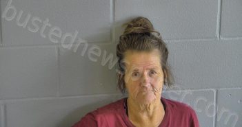 DEEDRICK, BRENDA | 2025-11-13 17:13:00 Levy County, Florida Booking