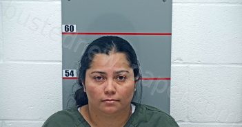 GOMEZ, JUDITH | 2025-11-13 Grayson County, Kentucky Booking