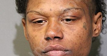 HEATHER G HELMS | 2025-11-13 Chicago, Illinois Booking