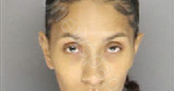 DIAZ, JULENE DANIELLE | 2025-11-13 19:00:00 Moore County, North Carolina Booking