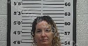 REPINE, DESIRAE LEE | 2025-11-13 Belmont County, Ohio Booking