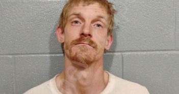 SIGURBJARTSSON, THOMAS | 2025-11-13 Barren County, Kentucky Booking