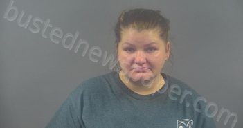 BOBO, BOBBIE DENICE | 2025-11-13 15:54:00 Warren County, Kentucky Booking