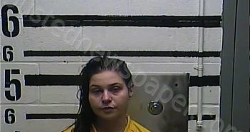 LONGENECKER, VICTORIA HELENA | 2025-11-13 08:04:00 Larue County, Kentucky Booking