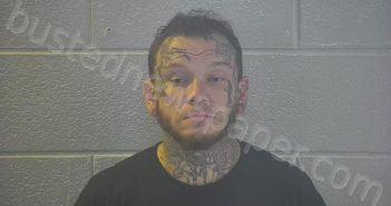 PROCARIO, DENNIE AARON | 2025-11-13 12:00:00 Pulaski County, Kentucky Booking