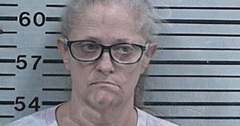 DUDLEY, MISCHELLE ANN | 2025-11-14 20:50:11 Hood County, Texas Booking