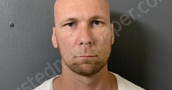 MINTON, <B>CHRISTOPHER</B> <B>LEE</B> #, Hardee County, Florida - 2025-11-14 15:56:00